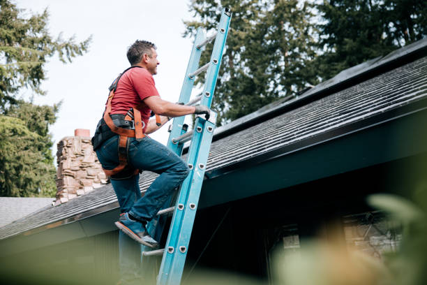 Best Roof Coating and Sealing  in Loris, SC