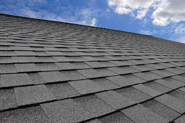 Trusted Loris, SC Roofing Service Experts