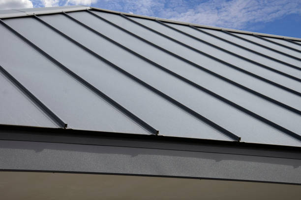 Best Steel Roofing  in Loris, SC